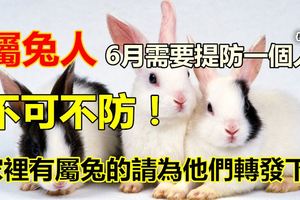 屬兔人6月需要提防一個人，不可不防！家裡有屬兔的請為他們轉發下！