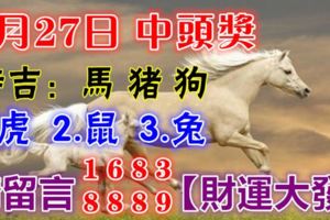 5月27日馬、豬、狗、虎、鼠、兔！中頭獎！請留言16838889【財運大發】