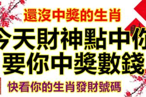 還沒中獎的生肖，今天財神點中你，要你中獎數錢！快看你的生肖發財號碼！