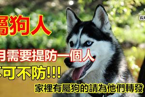 屬狗人：6月需要提防一個人，不可不防！別不信