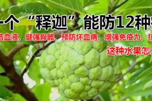 一個「釋迦」能防12種癌，這種水果怎麼吃？