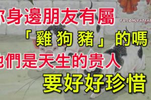 你身邊朋友有屬「雞狗豬」的嗎？他們是天生的貴人，要好好珍惜！