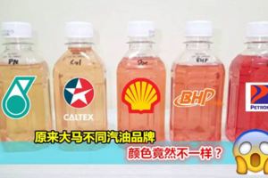 【原來大馬不同汽油品牌,顏色竟然不一樣？】專家還說：XXX品牌的汽油才是最好的！