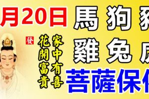 6月20日，生肖馬、狗、豬、雞、兔、虎！花開富貴，家有喜事！菩薩保佑！