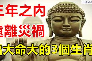 三年之內，遠離災禍，福大命大的3個生肖！