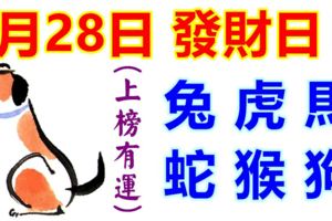 6月28日生肖運勢！生肖兔、虎、馬、蛇、猴、狗！發財日！