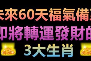 未來60天福氣備至，即將轉運發財的3大生肖