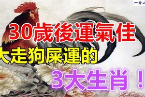 30歲後運氣佳，大走狗屎運的3大生肖！