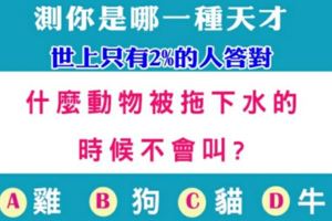 世上只有2%的人答對！測你是哪一種天才 