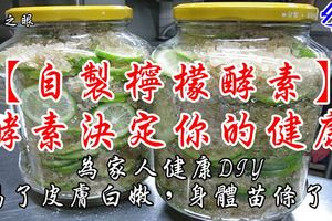 【自製檸檬酵素】酵素決定你的健康，為家人健康DIY，喝了皮膚白嫩，身體苗條了！