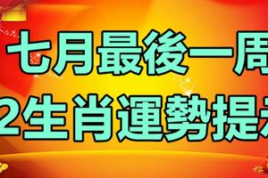 七月最後一周致12生肖運勢提示