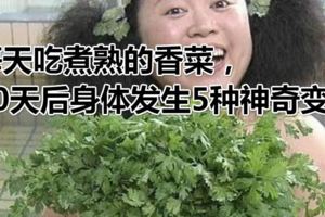 每天吃煮熟的香菜，30天後身體發生5種神奇變化