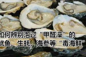 如何辨別泡過「甲醛澡」的魷魚、生蚝、海參等「毒海鮮」？