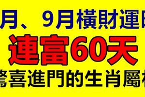 8月、9月橫財運旺，連富60天，驚喜進門的生肖屬相！