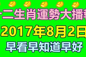 2017年8月2日十二生肖運勢大播報，早看早知道早好