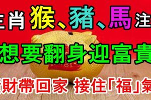 生肖猴、豬、馬注意，想要翻身迎富貴，橫財帶回家接住「福」氣！