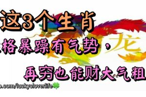 這3個生肖，性格暴躁有氣勢，再窮也能財大氣粗！