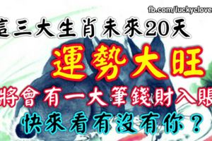 這三大生肖未來20天運勢大旺，將會有一大筆錢財入賬，快來看有沒有你？