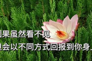 因果雖然看不見，但會以不同方式回報到你身上