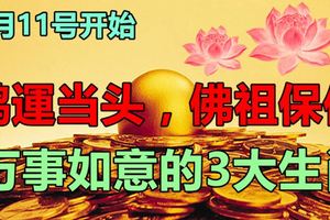 8月11號開始，鴻運當頭，佛祖保佑，萬事如意的3大生肖