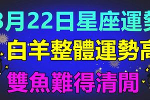 8月22日星座運勢｜雙魚難得清閒，白羊整體運勢高