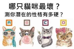 【性格測試】哪只貓咪最壞？測你潛在的性格有多硬？