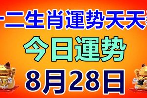 十二生肖運勢天天看，今日運勢：8月28日