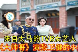 來自大馬的TVB女藝人在《大帥哥》演張衛健的小妾！