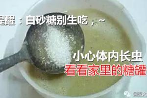 提醒：白砂糖別生吃，小心體內長蟲！看看家裡的糖罐子~