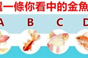 佔卜測試：下圖中選一條你看中的金魚，看看你明天走啥好運？