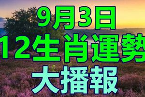 九月三日十二生肖運勢大播報