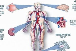 糖尿病的福音，農村沒人要的植物，降血糖有奇效比打胰島素效果好