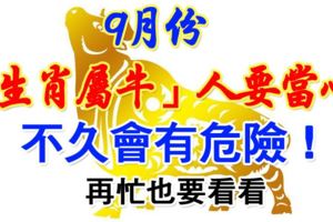 9月份生肖屬牛人要「當心」！不久會有危險！再忙也要看看