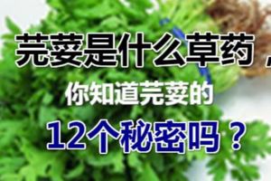 芫荽是什麼草藥，你知道芫荽的12個秘密嗎？