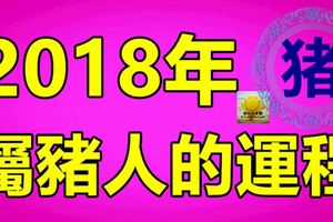 2018年屬豬人的運程