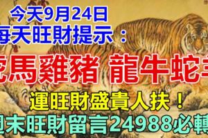 今天9月24日，每天旺財提示：虎馬雞豬，龍牛蛇羊。運旺財盛貴人扶！週末旺財留言24988必轉！