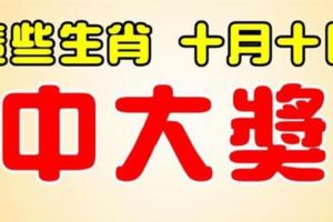 這些生肖，10月10日開始，最會中大獎，錢包滿滿