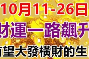 高人指路！10月11-26日財運一路飆升，有望大發橫財的生肖