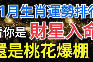 11月生肖運勢排行，看你是財星入命，還是桃花爆棚？