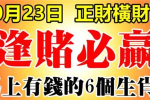 10月23日開始，正財橫財兼得，逢賭必贏的6大生肖。