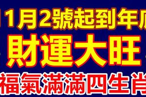 11月2號起到年底：財運大旺的4個生肖，福氣滿滿！