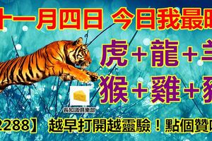 十一月四日，今日我最旺！虎+龍+羊+猴+雞+豬！【32288】越早打開越靈驗！點個贊吧！