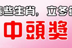 這些生肖，立冬節，最會中頭獎！錢包滿滿！