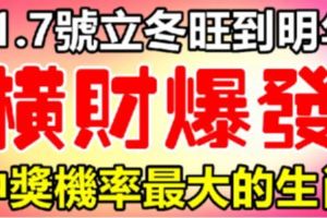 11月7號立冬旺到明年，橫財運爆發，中獎機率最大的生肖！