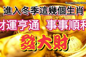 進入冬季這幾個生肖開始財運亨通，事事順利，能發大財，有機會大賺一筆。