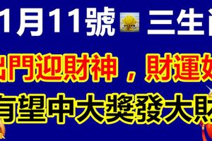 11月11號出門迎財神，財運好的不得了，有望中大獎發大財的生肖