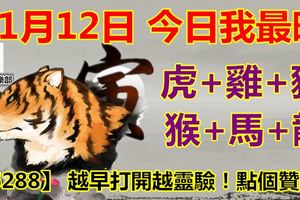 11月12日，今日我最旺！虎+雞+豬+猴+馬+龍！【56288】越早打開越靈驗！點個贊吧！