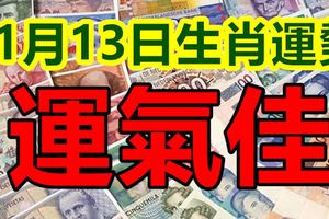 11月13日生肖運勢，財運相當不錯，想買房買車的人，可以收入囊中