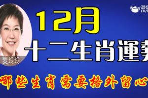 12月十二生肖運勢，哪些生肖需要格外留心？