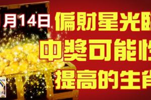 11月14日生肖運勢前三，偏財星大駕光臨，中獎的可能性提高